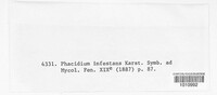Gremmenia infestans image